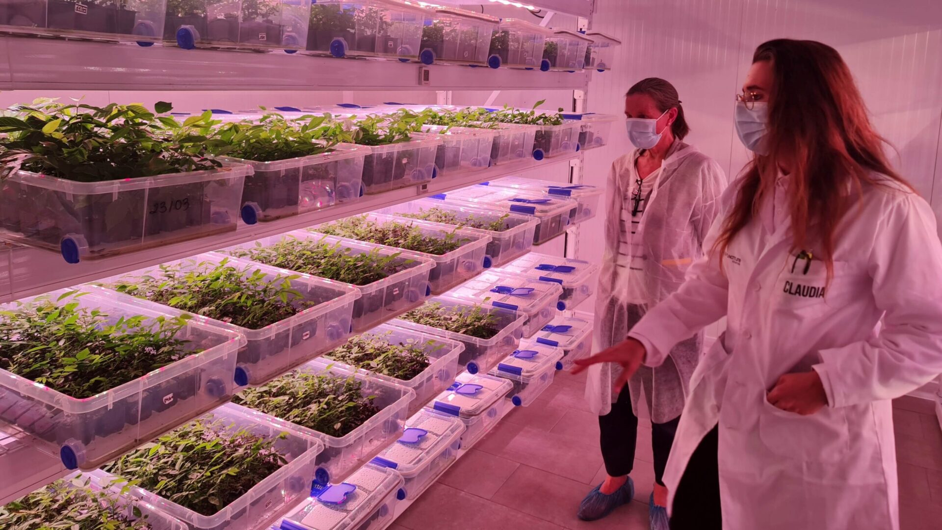 laboratorio buena baja|Biosur (2) baja|vivero buena|Acto Nogalnature baja|nogal-nogalnature